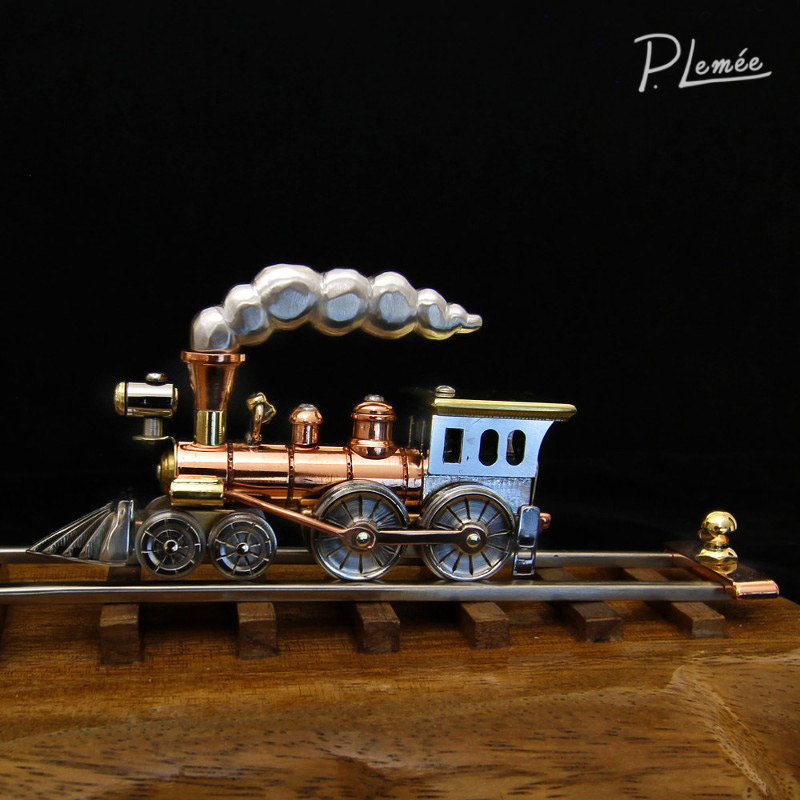 Train and Turtle on Track<